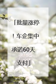 批量涨停！车企集中承诺60天支付