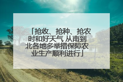 抢收、抢种、抢农时和好天气 从南到北各地多举措保障农业生产顺利进行