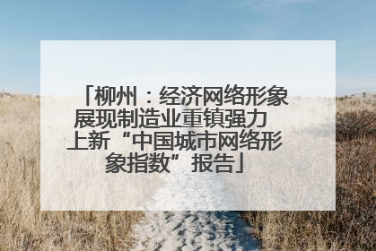 柳州：经济网络形象展现制造业重镇强力 上新“中国城市网络形象指数”报告