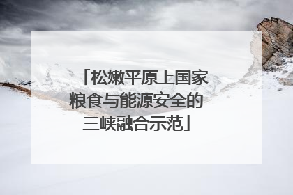 松嫩平原上国家粮食与能源安全的三峡融合示范