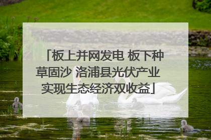 板上并网发电 板下种草固沙 洛浦县光伏产业实现生态经济双收益