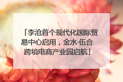 李沧首个现代化国际贸易中心启用，金水·伍合跨境电商产业园启航