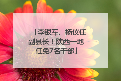 李银军、杨仪任副县长！陕西一地任免7名干部