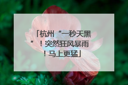 杭州“一秒天黑”！突然狂风暴雨！马上更猛