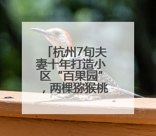 杭州7旬夫妻十年打造小区“百果园”，两棵猕猴桃树结出上千个果子