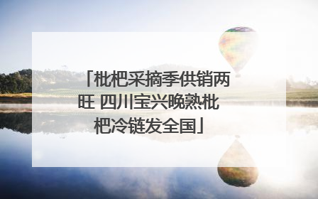 枇杷采摘季供销两旺 四川宝兴晚熟枇杷冷链发全国