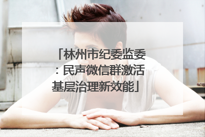 林州市纪委监委：民声微信群激活基层治理新效能