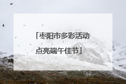枣阳市多彩活动点亮端午佳节