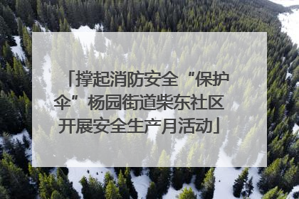 撑起消防安全“保护伞”杨园街道柴东社区开展安全生产月活动