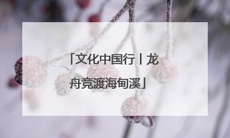 文化中国行丨龙舟竞渡海甸溪