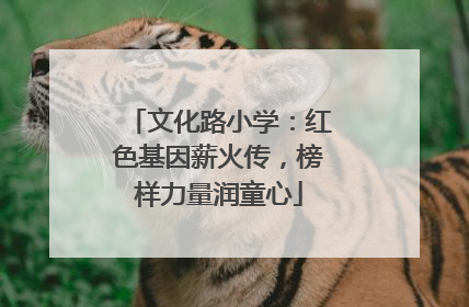 文化路小学：红色基因薪火传，榜样力量润童心