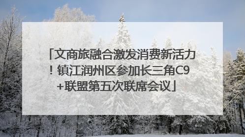 文商旅融合激发消费新活力！镇江润州区参加长三角C9+联盟第五次联席会议
