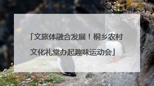 文旅体融合发展！桐乡农村文化礼堂办起趣味运动会