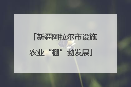新疆阿拉尔市设施农业“棚”勃发展