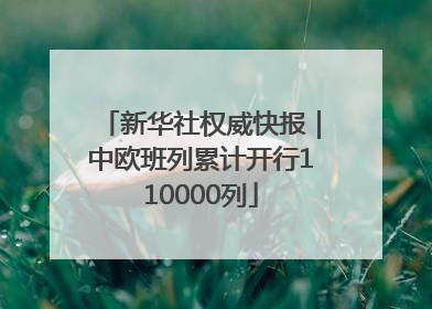 新华社权威快报｜中欧班列累计开行110000列