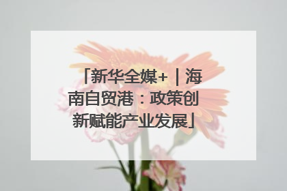 新华全媒+｜海南自贸港：政策创新赋能产业发展