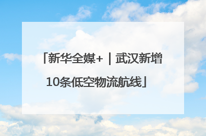 新华全媒+｜武汉新增10条低空物流航线
