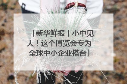 新华鲜报丨小中见大！这个博览会专为全球中小企业搭台