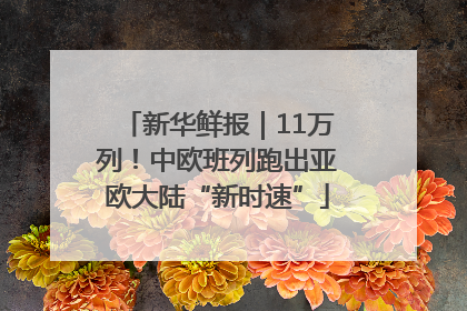 新华鲜报｜11万列！中欧班列跑出亚欧大陆“新时速”