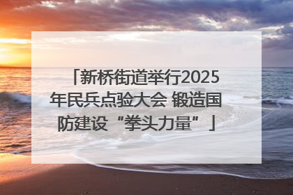新桥街道举行2025年民兵点验大会 锻造国防建设“拳头力量”