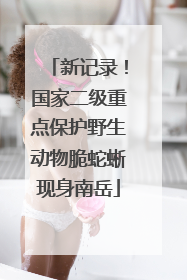 新记录！国家二级重点保护野生动物脆蛇蜥现身南岳