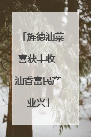 旌德油菜喜获丰收 油香富民产业兴
