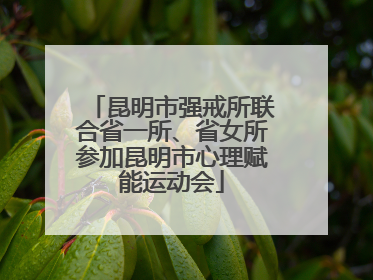 昆明市强戒所联合省一所、省女所参加昆明市心理赋能运动会
