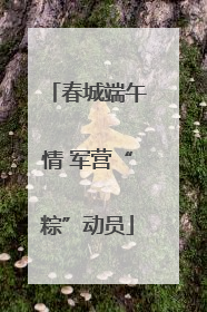 春城端午情 军营“粽”动员