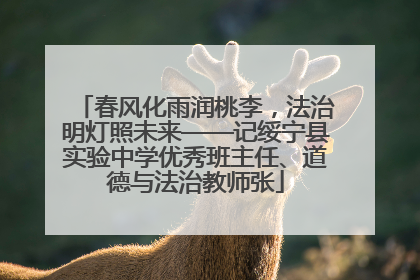 春风化雨润桃李，法治明灯照未来——记绥宁县实验中学优秀班主任、道德与法治教师张