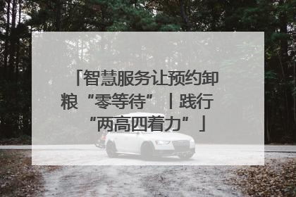 智慧服务让预约卸粮“零等待”丨践行“两高四着力”