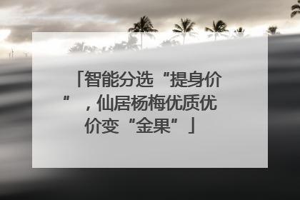 智能分选“提身价”，仙居杨梅优质优价变“金果”