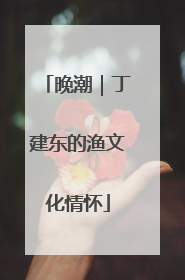 晚潮｜丁建东的渔文化情怀