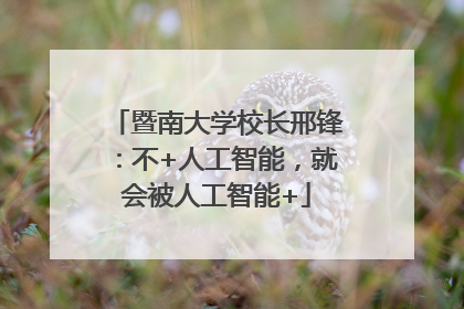 暨南大学校长邢锋：不+人工智能，就会被人工智能+