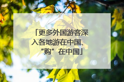 更多外国游客深入各地游在中国、“购”在中国