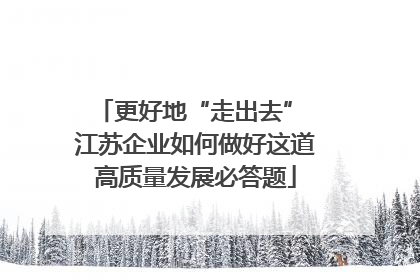 更好地“走出去” 江苏企业如何做好这道高质量发展必答题