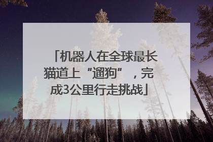 机器人在全球最长猫道上“遛狗”，完成3公里行走挑战
