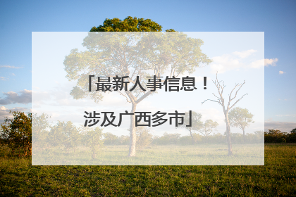 最新人事信息！涉及广西多市