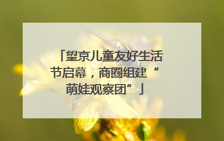 望京儿童友好生活节启幕，商圈组建“萌娃观察团”
