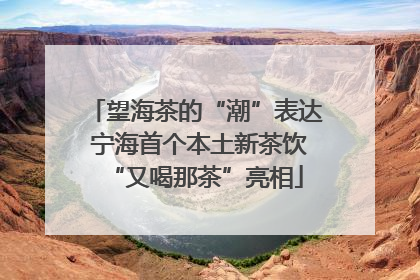 望海茶的“潮”表达 宁海首个本土新茶饮“又喝那茶”亮相
