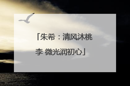 朱希：清风沐桃李 微光润初心