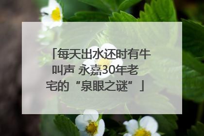 每天出水还时有牛叫声 永嘉30年老宅的“泉眼之谜”