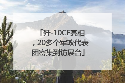 歼-10CE亮相，20多个军政代表团密集到访展台