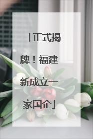 正式揭牌！福建新成立一家国企