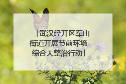 武汉经开区军山街道开展节前环境综合大整治行动