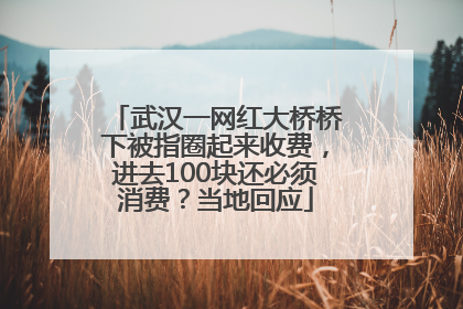 武汉一网红大桥桥下被指圈起来收费，进去100块还必须消费？当地回应