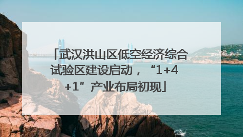 武汉洪山区低空经济综合试验区建设启动，“1+4+1”产业布局初现