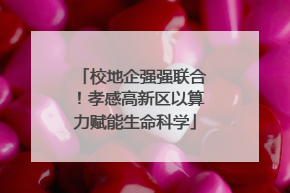 校地企强强联合！孝感高新区以算力赋能生命科学