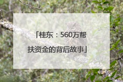 桂东：560万帮扶资金的背后故事