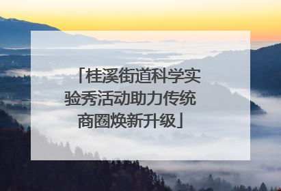 桂溪街道科学实验秀活动助力传统商圈焕新升级