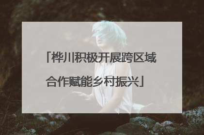 桦川积极开展跨区域合作赋能乡村振兴